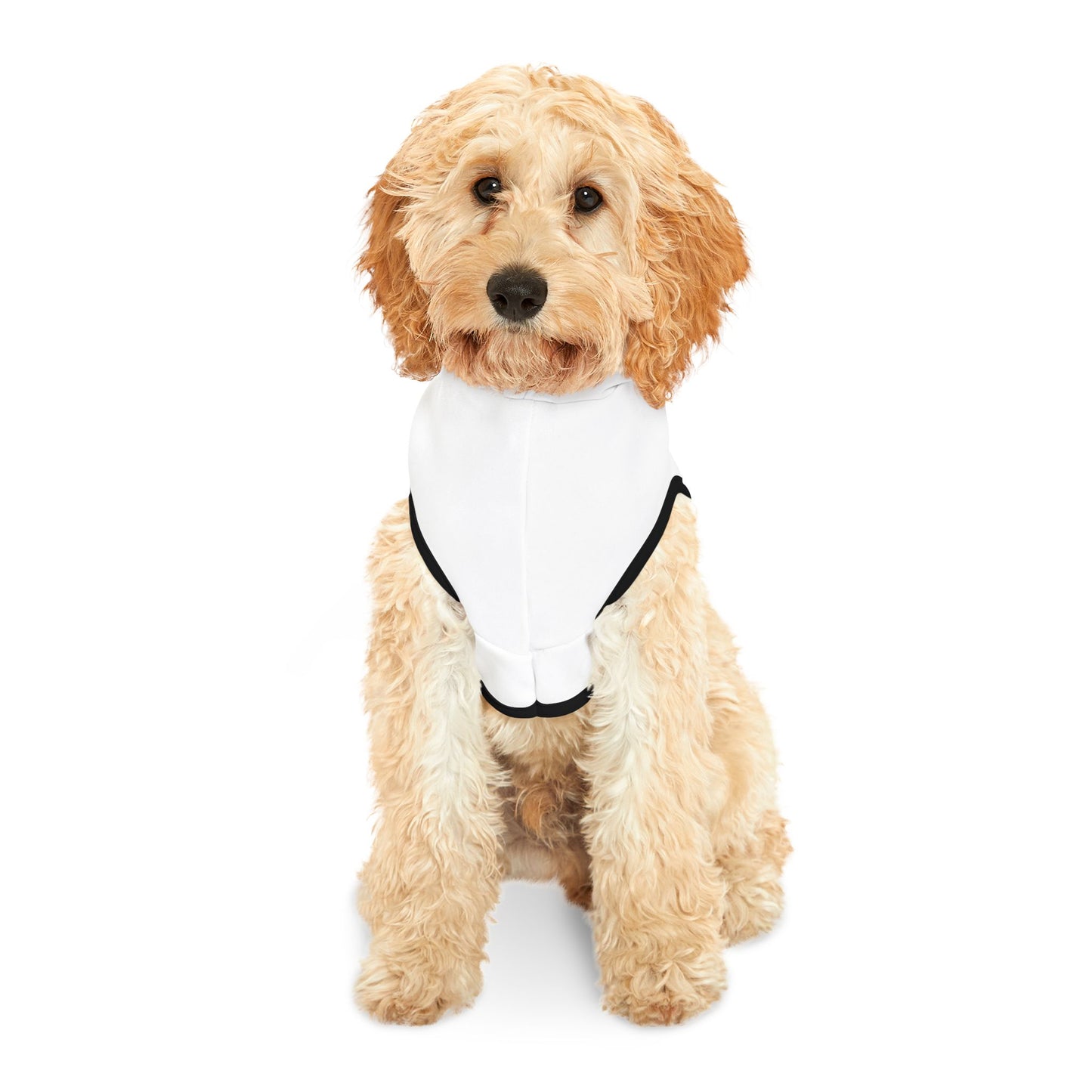 Spooky Pet Hoodie - Halloween Costume for Dogs, Pumpkin Decor, Pet Apparel, Fun Dog Outfits, Holiday Clothing