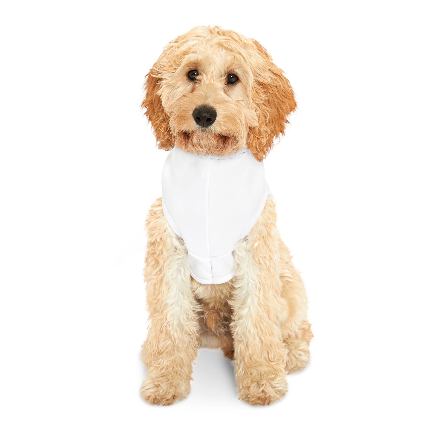 Spooky Pet Hoodie - Halloween Costume for Dogs, Pumpkin Decor, Pet Apparel, Fun Dog Outfits, Holiday Clothing