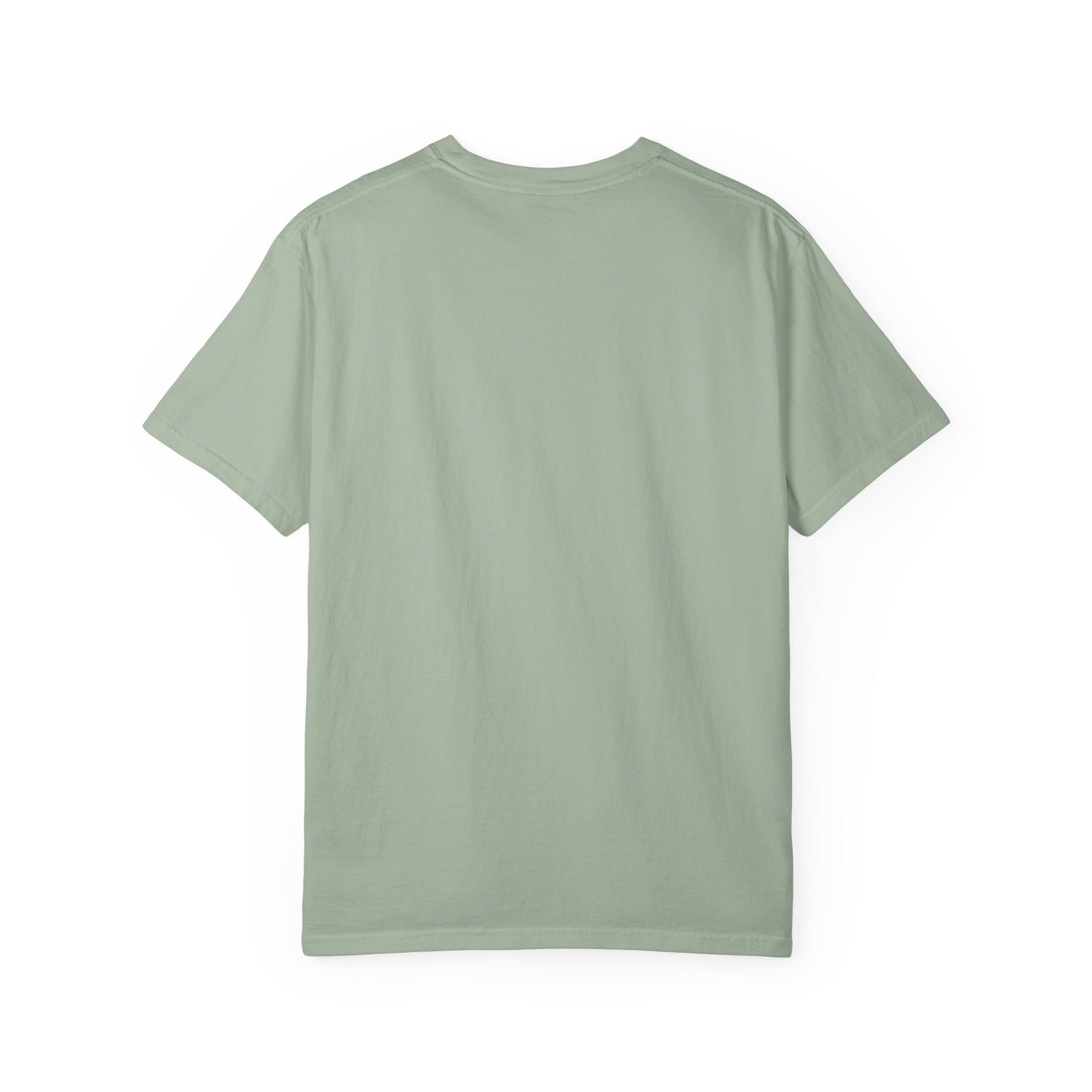 Iran Map T-Shirt with Lion and Sun Flag — Persian Heritage Tee